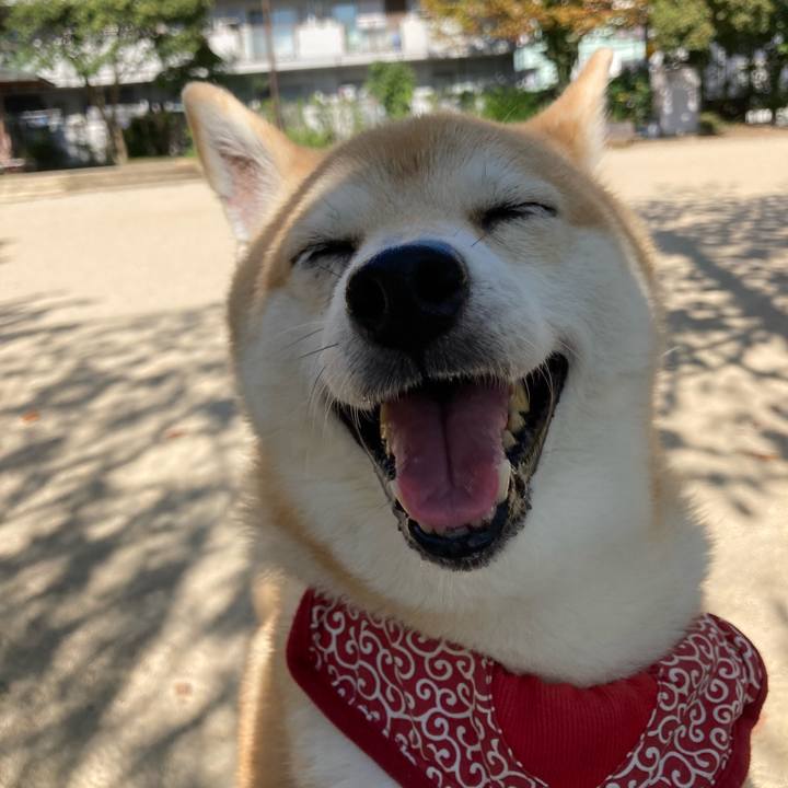 Ff9e48d7 f36d 44f6 bd97 02a7e840a147 1633522239502