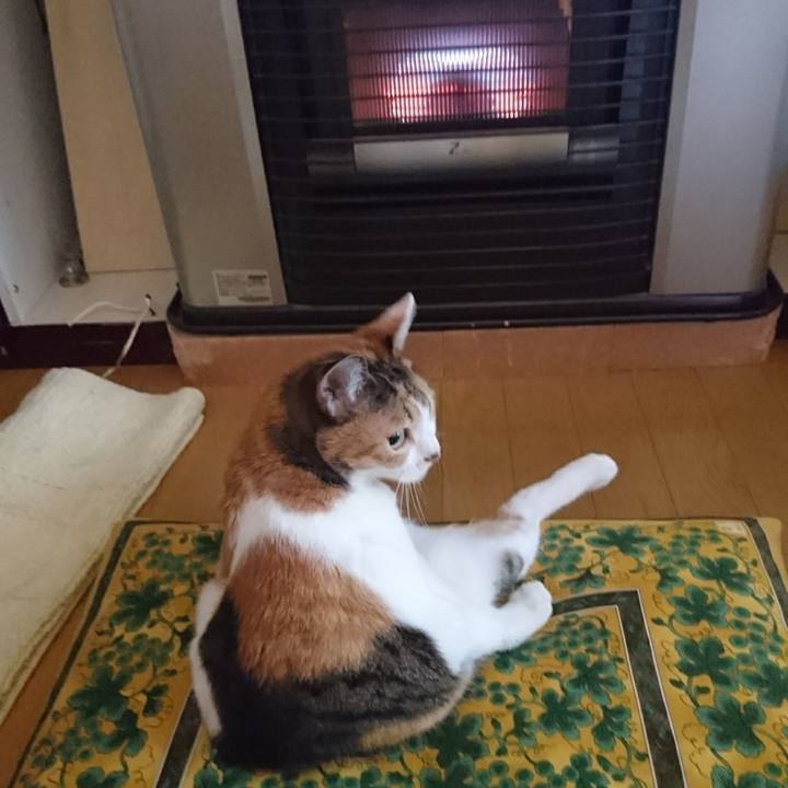 Ff9e60d2 9722 4281 865d 4e021bdd29f3 1624547043440