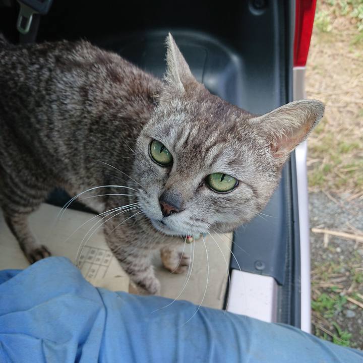 Ff9e6abd 2b89 4ab8 8332 8ccfdc2126c6 1561260279837