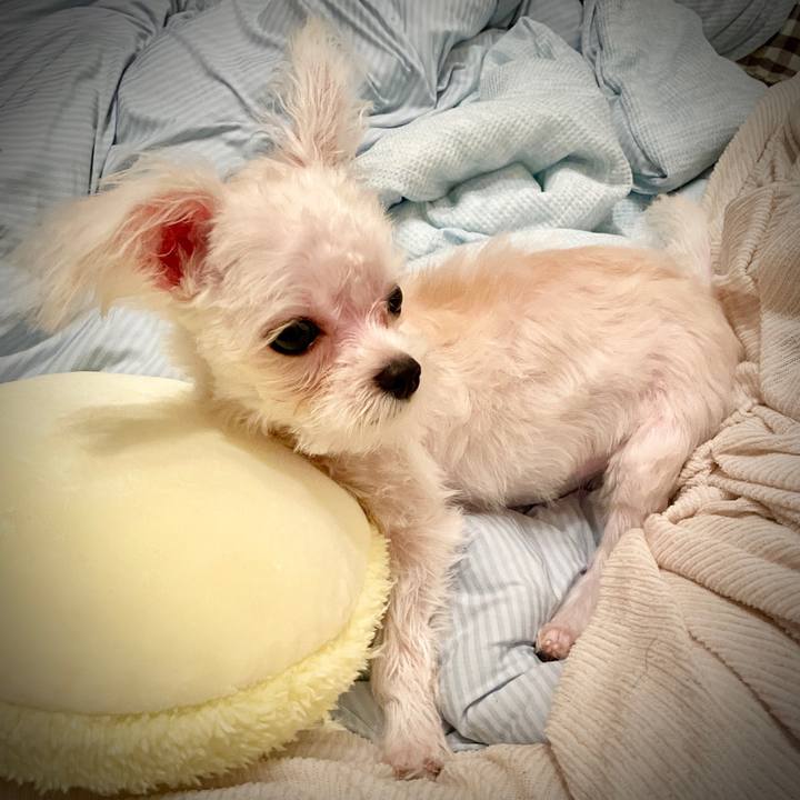 Ff9e77e1 ad14 4ab7 b158 1a6c5b08e63b 1631151890023