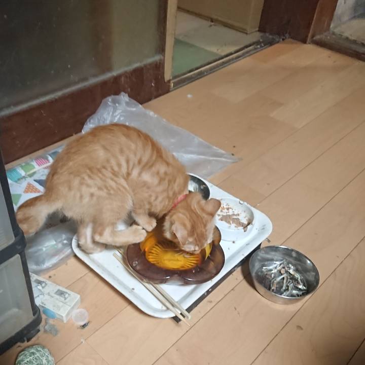 Ff9e82d7 9b85 4abe 8fb4 5961f117864d 1630926778253