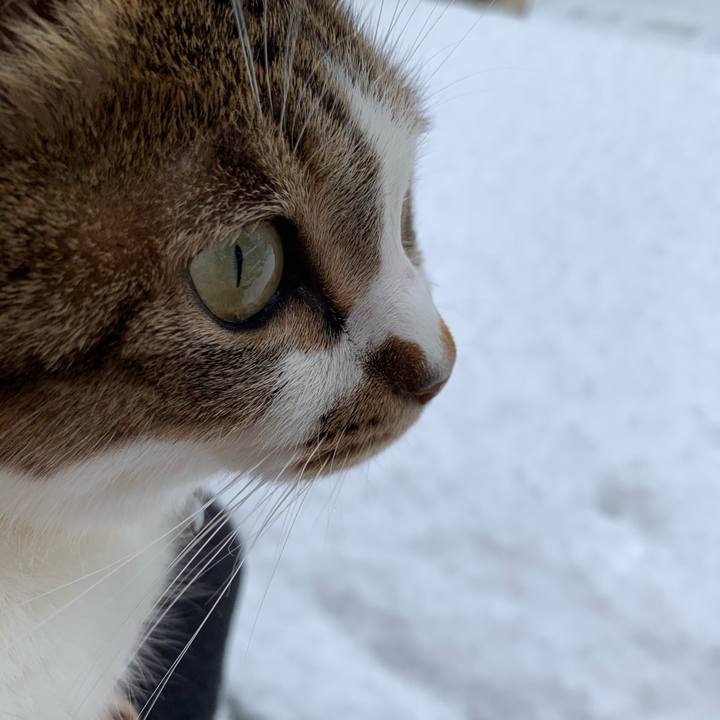 Ff9e9e89 f57e 4c82 b60d 16f8209ca899 1610156915975