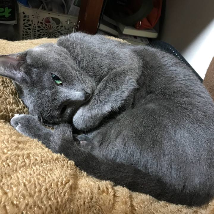 Ff9ef243 3f9b 4e06 bc32 65847c1f25cb 1524090774613