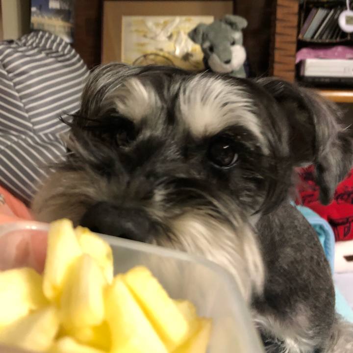 Ff9ef84f c2eb 4b4e bb73 850631a82cd3 1678536055505