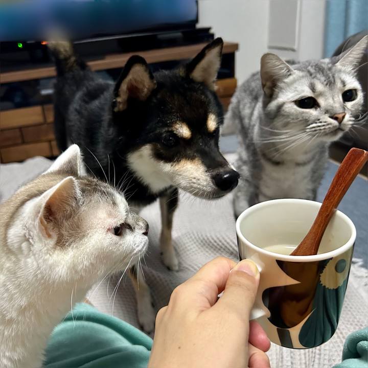 Ff9f0da6 f365 4c60 a2c6 ca74e20e9b37 1694861141469