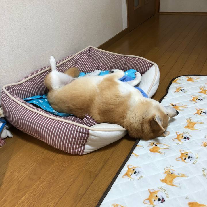 Ff9f1f00 57a3 419c 863a 1075b6ea9ec6 1567729714140