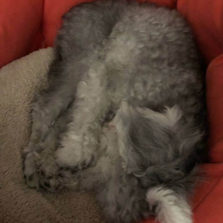 Ff9f336f 2f35 4dfa 89f7 18f0319dedcf 1569552728705