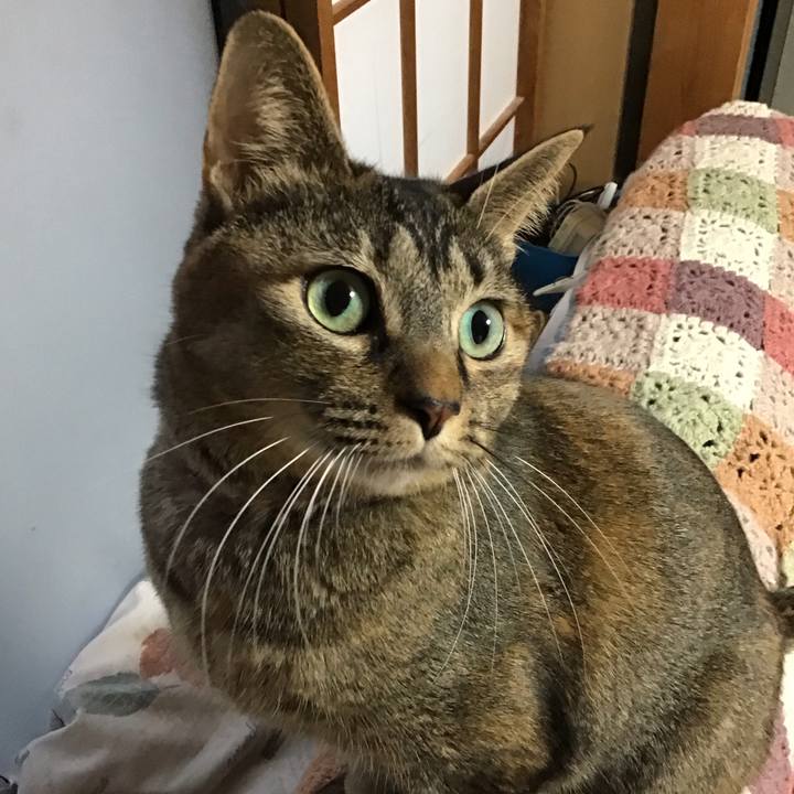 Ff9f394d 112f 4efa a3c3 9b6a0ab42069 1637565625264