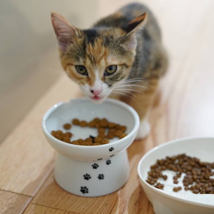 Ff9f453e e171 4735 90ae 1ca04eeb47d4 1569801968720