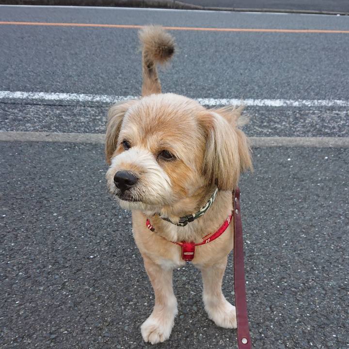 Ff9f54a0 2c93 480e 8f95 77ab9be6651d 1601936057192