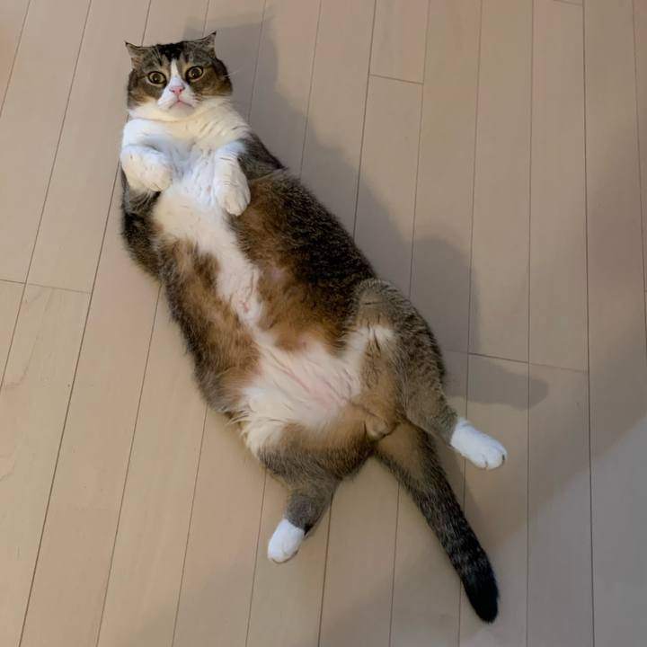 Ff9f6894 0a66 443c 914c df5e5007ae07 1571631465084