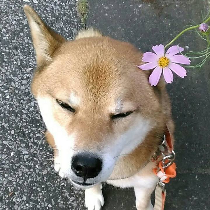 Ff9f70c9 e5c2 40b6 9e73 51c115a59d81 1569486821168