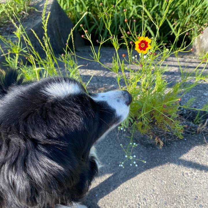 Ff9fb6fd 0490 4764 98e6 784c5cb63528 1622330901647