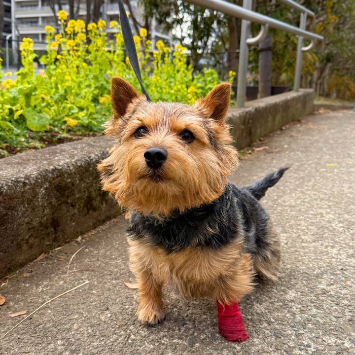 Ff9fc418 c417 4dbe 9362 507f8dc56170 1770966222954