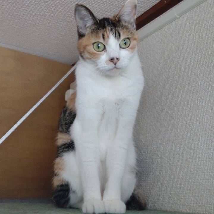 Ff9fce08 f174 438e bd0d 8345ac4513c6 1641178025907