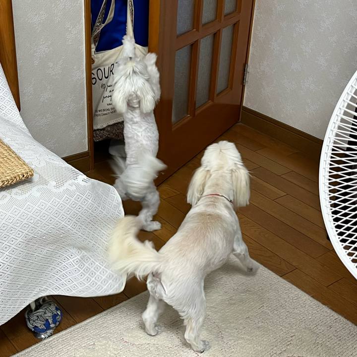 Ff9fe3a2 d0e7 443a 9976 fbaa2f29a245 1726053237473