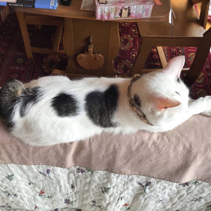 Ff9ffa97 a60e 458a 898d 8bdd11f7b34d 1630753366949