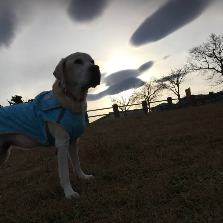 Ffa004de 7a74 4219 b859 3ebda1d45a33 1633011676932