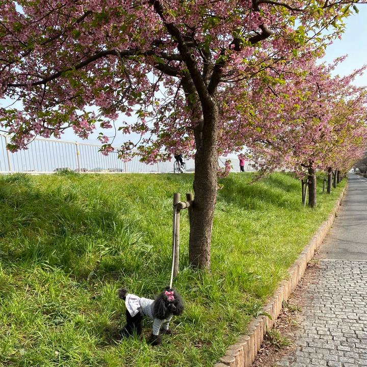 Ffa015fd 42f6 4828 80f8 16e770603ffe 1678673324053