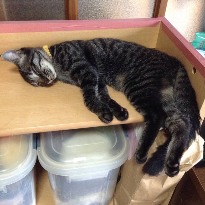 Ffa04e3c 98eb 42a9 b6de 684542e93e5b 1534393818401