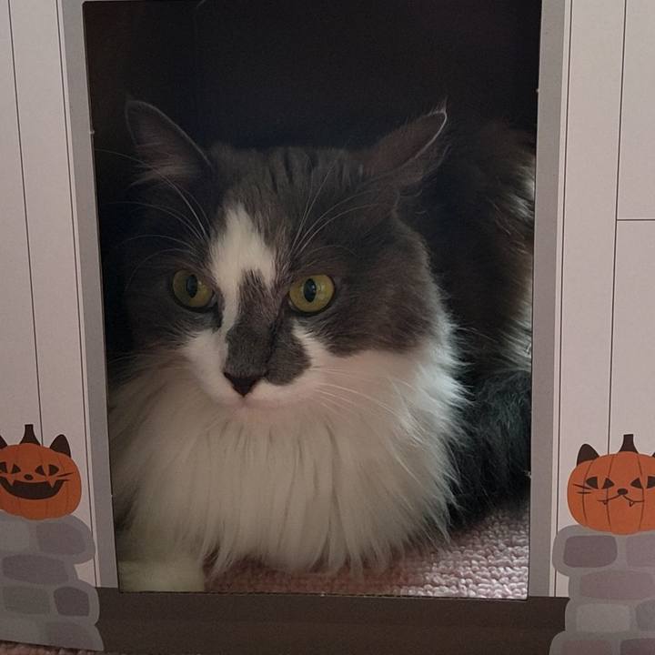 Ffa04f78 0c7b 4cda b23c 95430a69e5bc 1661047695991