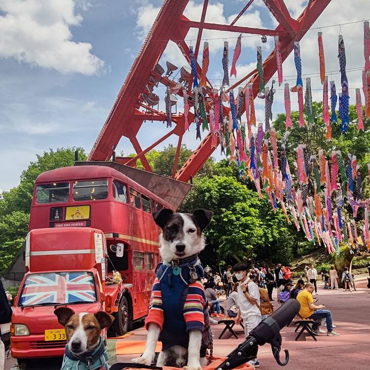 Ffa05f7f 0a75 412b 88aa f320b10b10e8 1714628005941