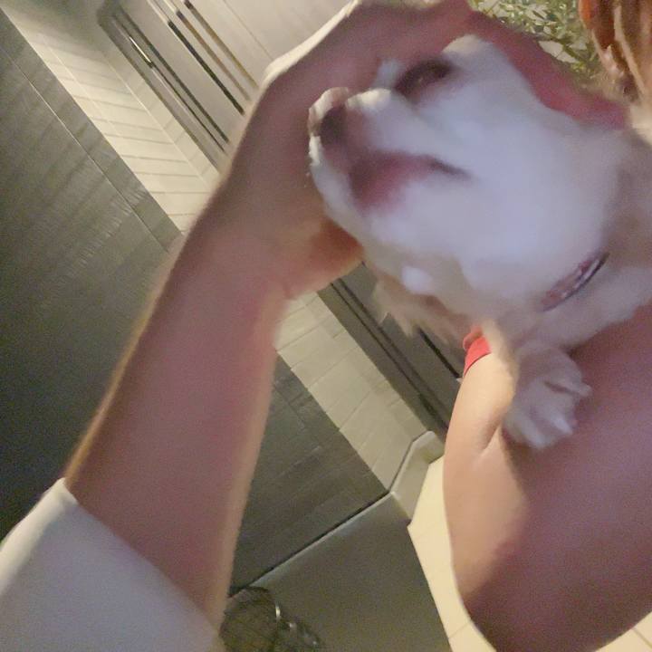 Ffa06431 f849 4b16 8b0c 1c75077f30d1 1724334356128