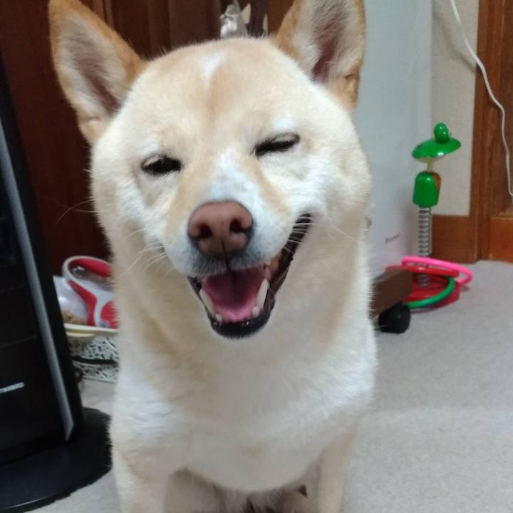 Ffa064b7 54da 4535 aa9c debd218b7ffd 1596146508723