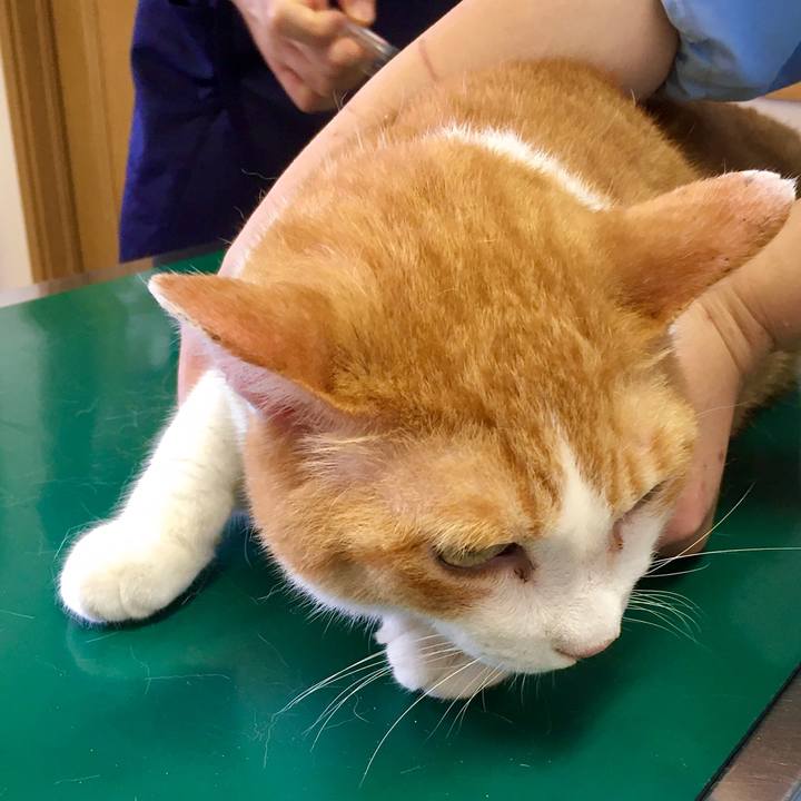 Ffa07781 9b7c 4586 9441 c8f6cd1a7f05 1596857143829