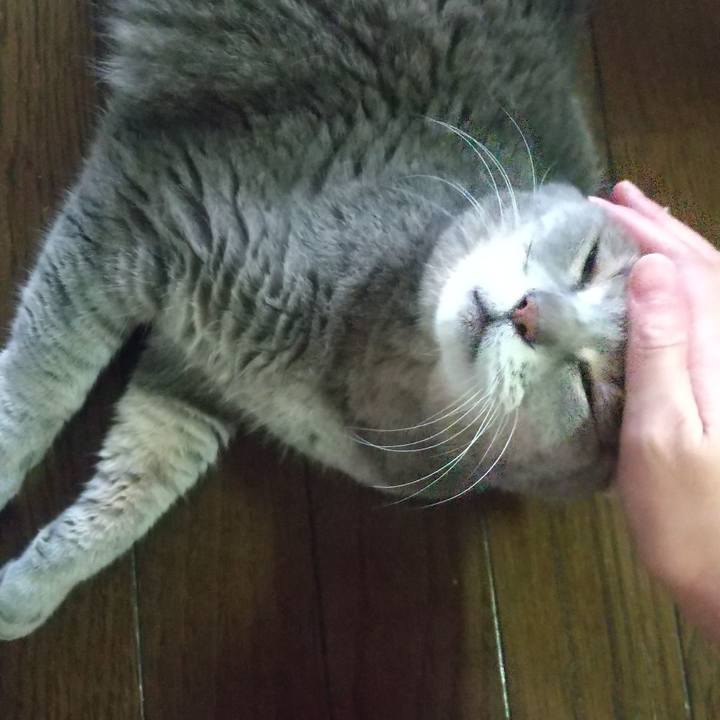 Ffa0e6cf 79a5 4c7c 90e1 779dce0159d4 1659921413452