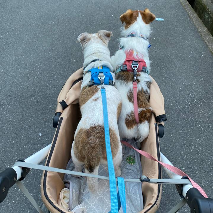 Ffa0f653 f4e7 48c8 8447 5597a7e95200 1714733911521