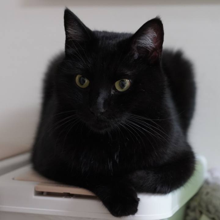 Ffa11f6c 69e9 4084 a6d7 f30d6deadcea 1627692200186