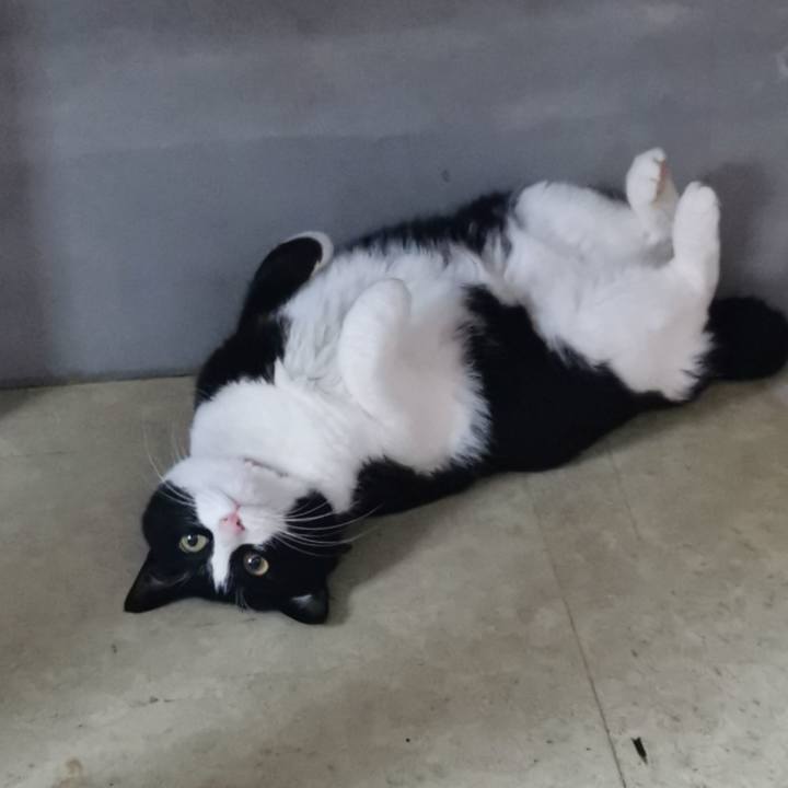 Ffa12adc c36c 45e0 822e ef4efc5572e9 1643602064337