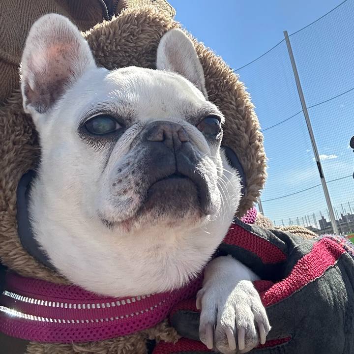 Ffa13937 5713 42c3 9408 49a185d330ff 1738912026910