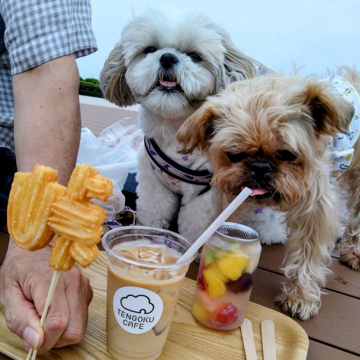 Ffa13f39 391c 4de4 9934 32fb06245646 1687096170077