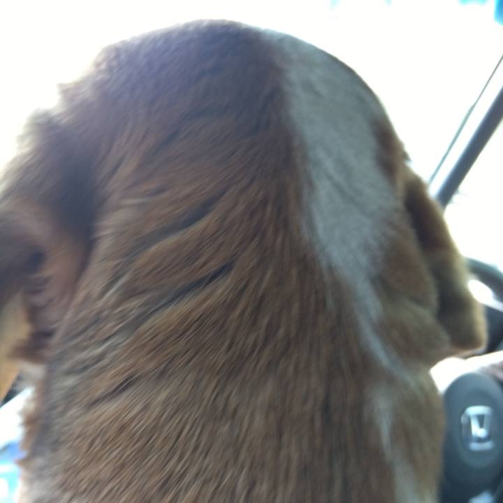 Ffa1519f 8c38 446e 8186 a5a81105af7c 1680679226772