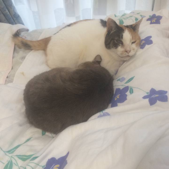 Ffa15710 3543 4648 b644 80f15432d8dd 1554852738395