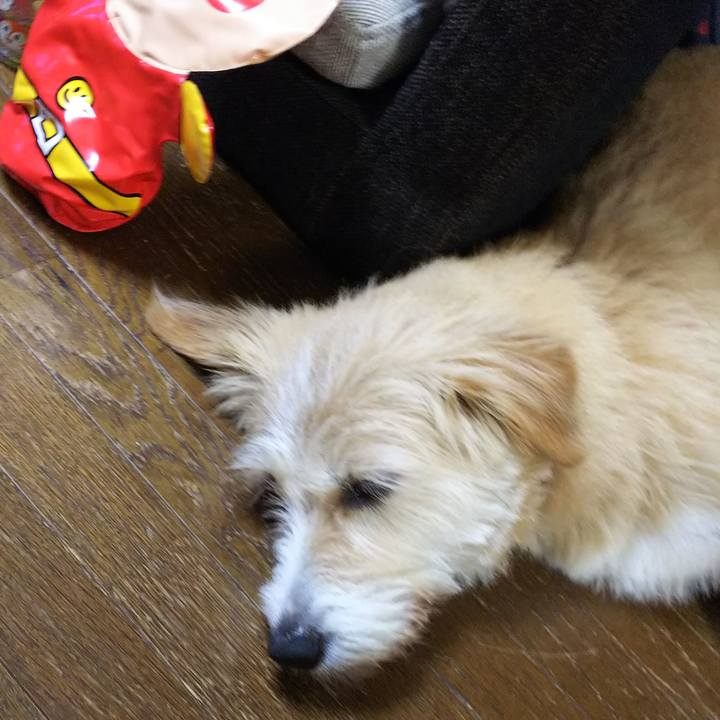 Ffa1f547 5254 4c3b acee 550f832036b2 1532866913607