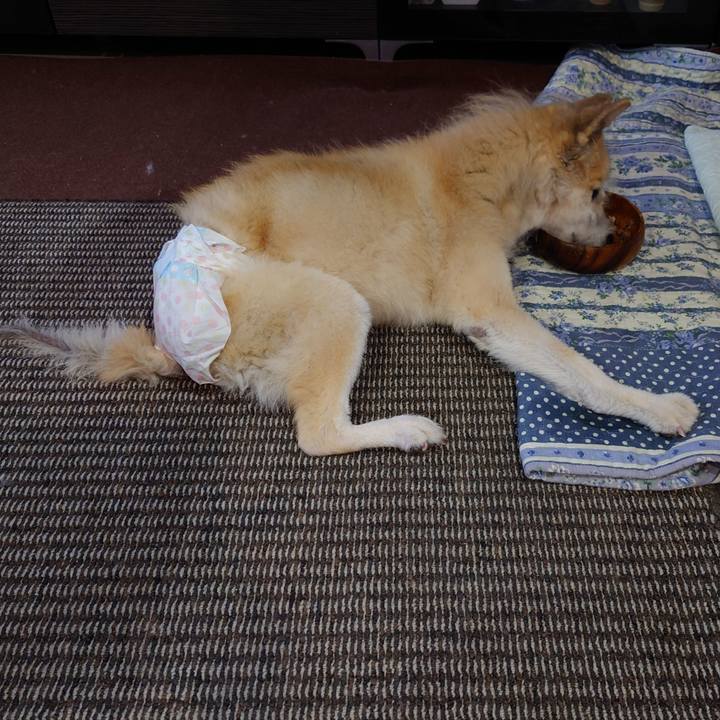 Ffa202c2 9291 4713 b620 243d6fbbc28b 1651821614217