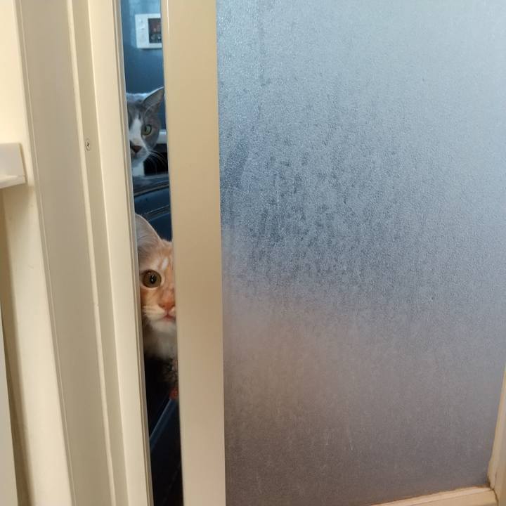 Ffa21ac1 ba40 4b7a b185 ca99c146fd0a 1638084692197