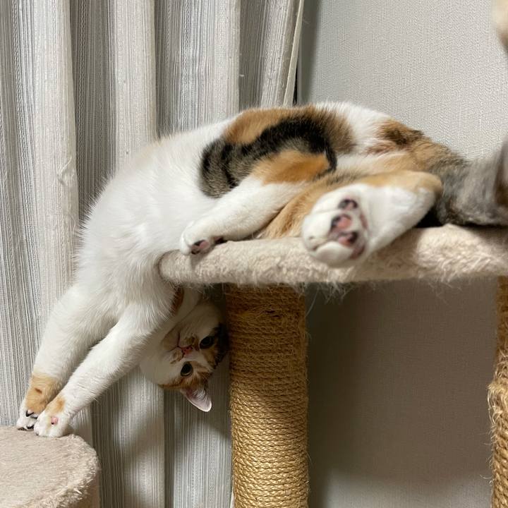 Ffa22777 0b2f 4c8c 9e83 fbd0bbdce892 1610981662069