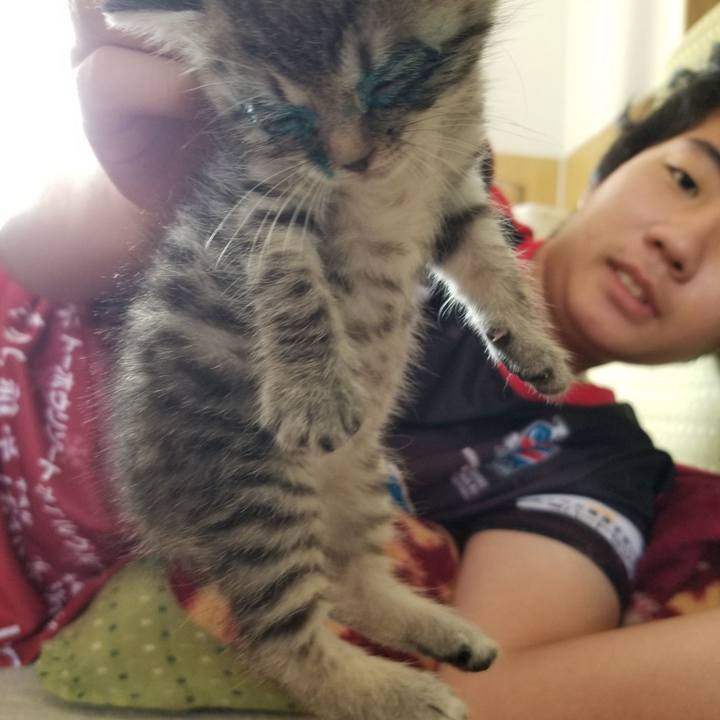 Ffa267de 395d 4499 a30c eb7cc0fea358 1660174539666