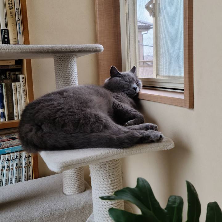 Ffa269dd 01dd 4080 aa56 8a6bdec0e508 1625471775432