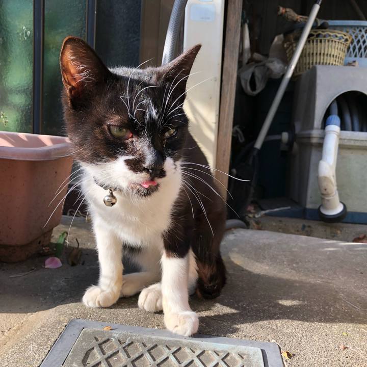 Ffa27aee 14d8 4310 b1d6 1731d6b13595 1523511134014