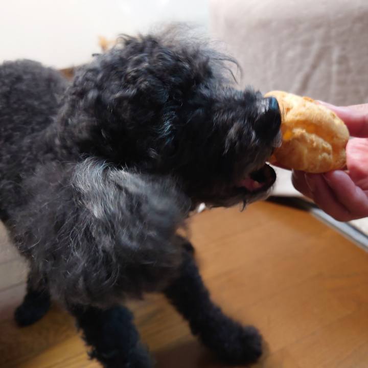 Ffa2a54a 507a 4a17 8a54 8072a8a7f87a 1760426413554