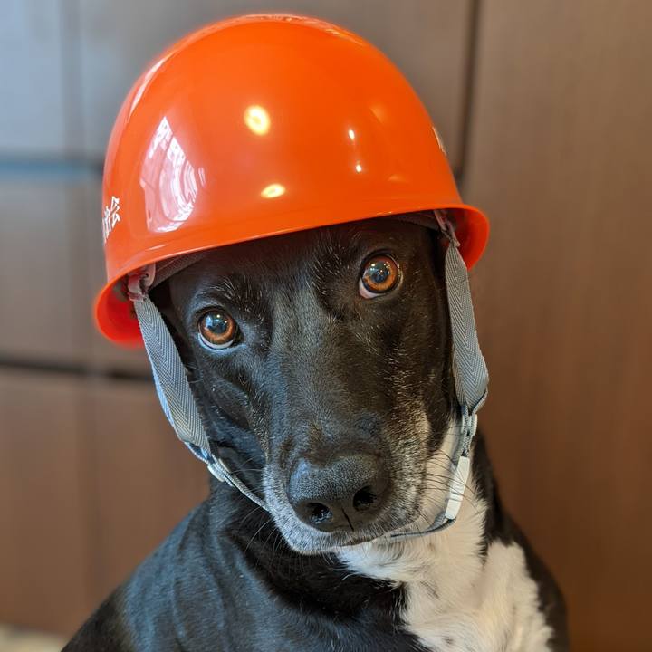 Ffa2aa17 4c4d 40e2 abec c8d14db37e99 1686395607398