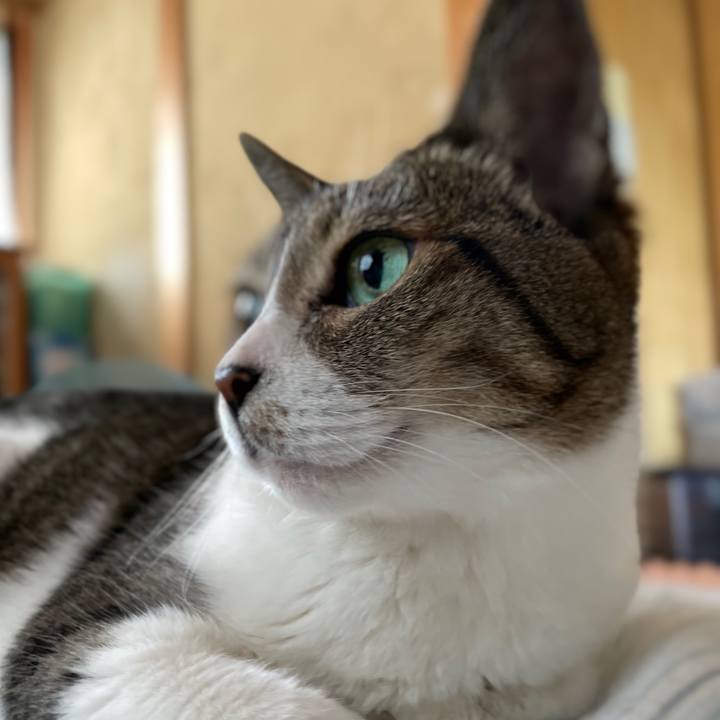 Ffa2c7d6 fad3 4940 ab4c 9bf637e9c98d 1655690807010