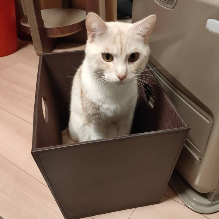 Ffa2ea34 ee81 4334 b6b5 78c5e282618f 1669819237948