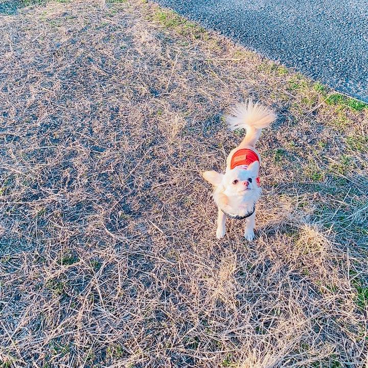 Ffa2fc77 6717 435d 8c2d 4ccf5229dbdd 1614070819356