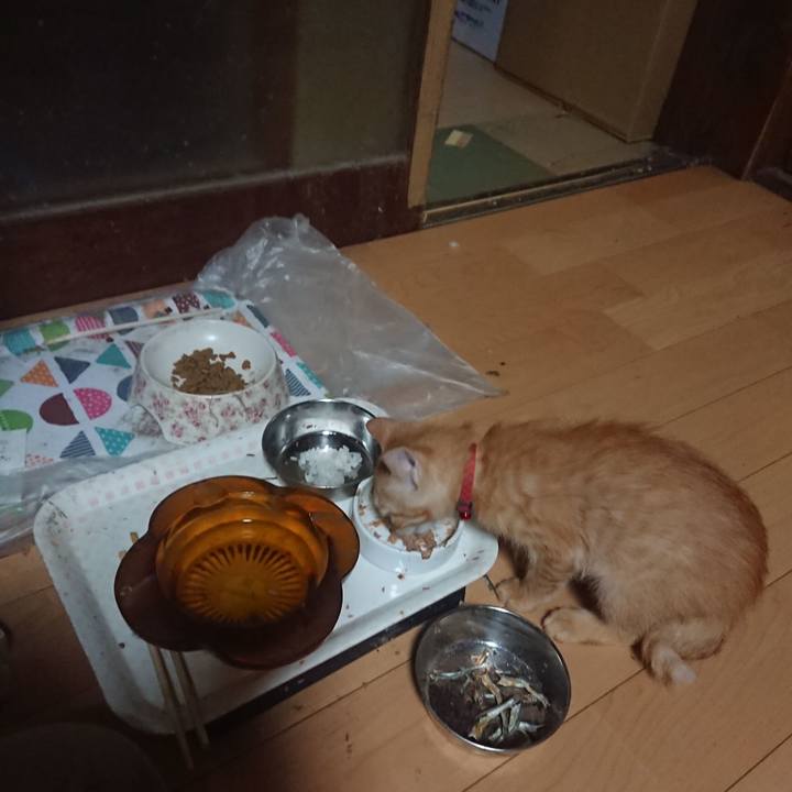 Ffa31fdc 0f42 4840 a156 42bc0f669fa4 1630922388932